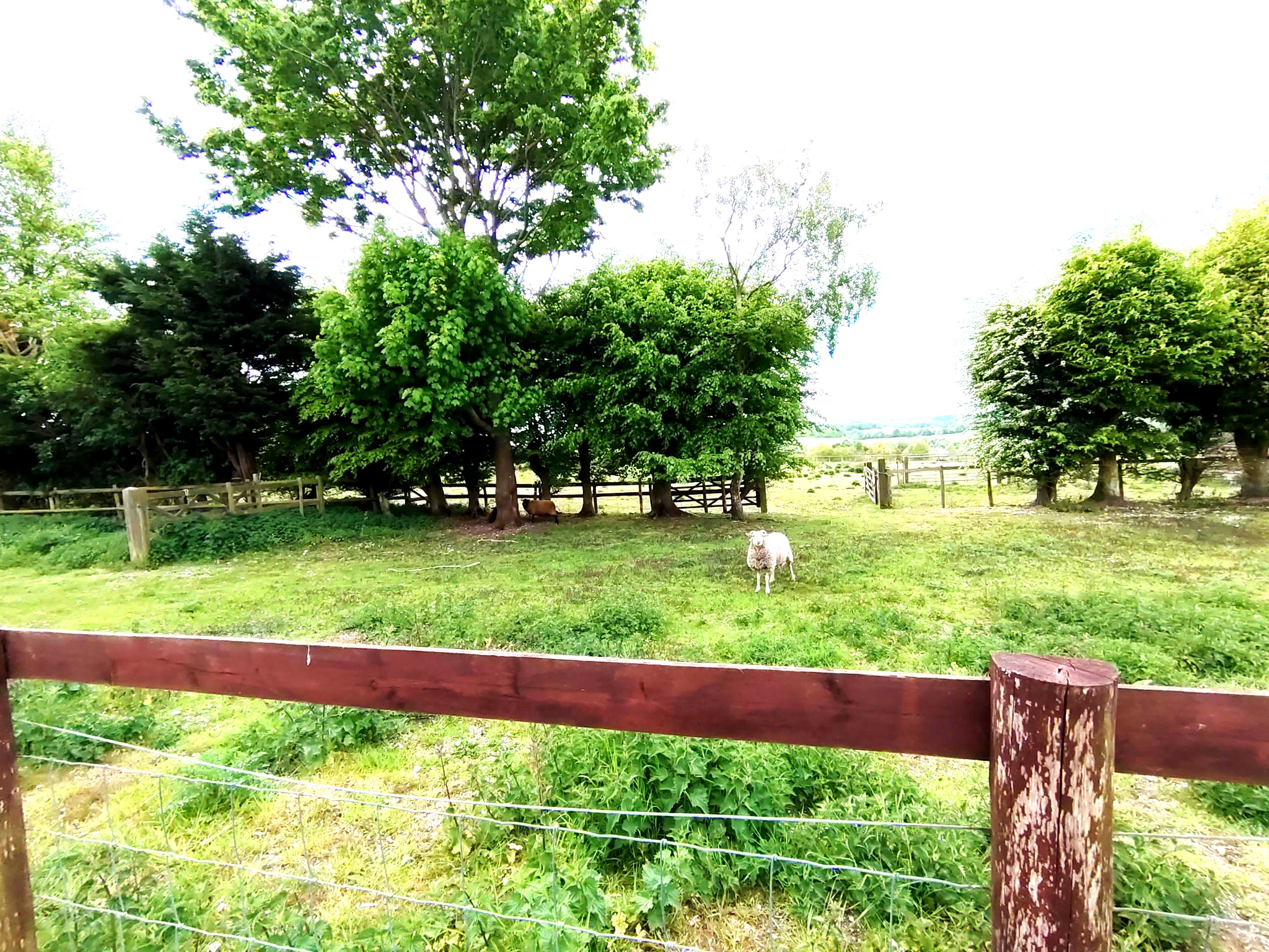 farm