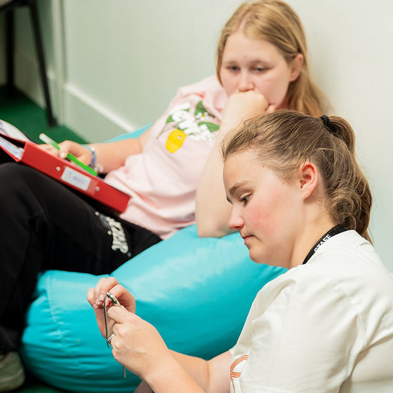 Image of Liberty College activity
