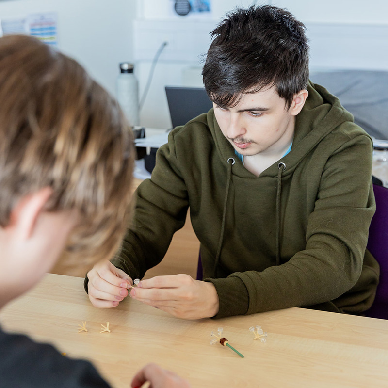 Image of Liberty College activity