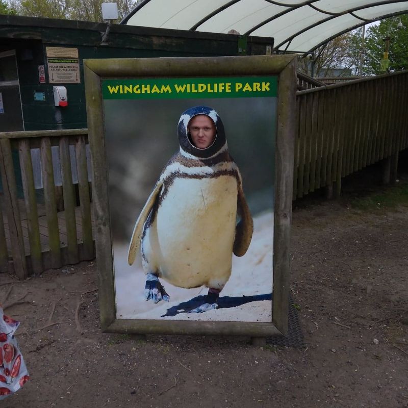 Wingham Wildlife Park 3-5-22 - Liberty College Gallery