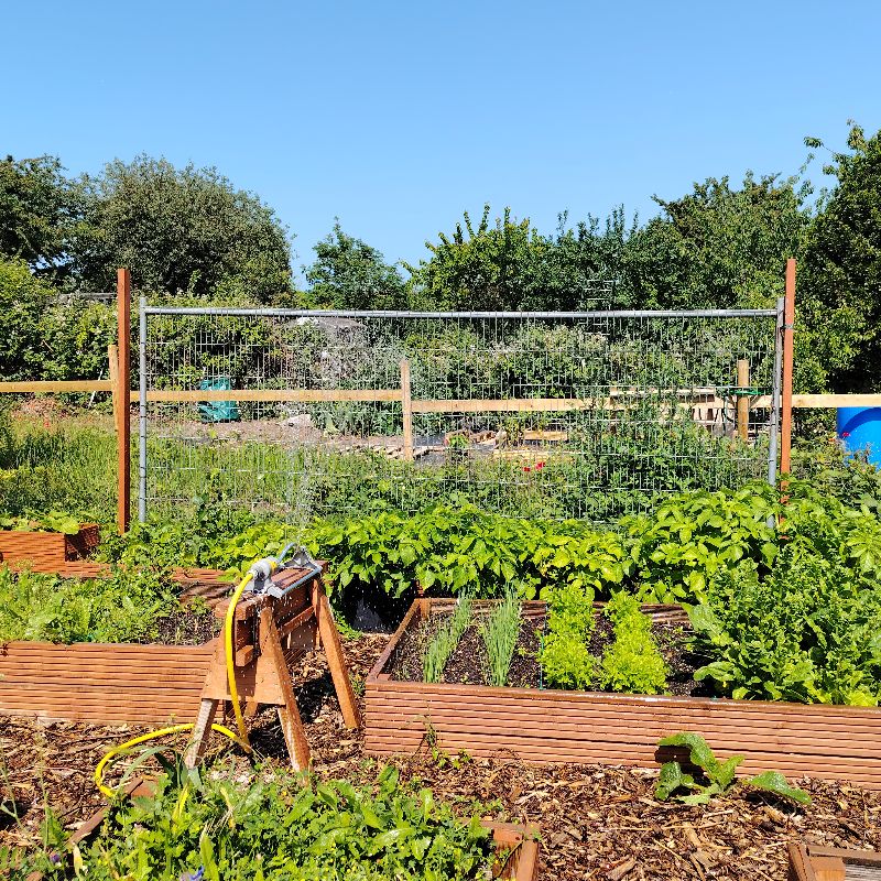 Liberty's Allotment 2025 - Liberty College Gallery