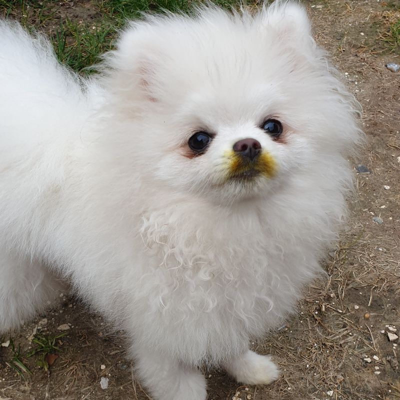 Image of Libby 